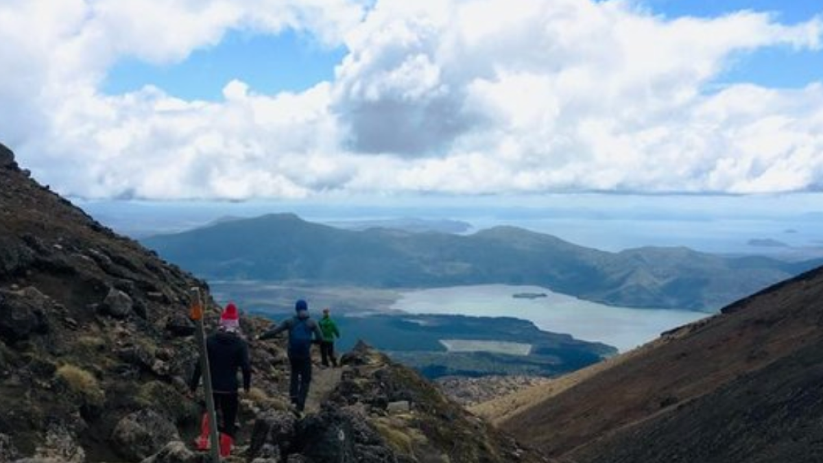 a view of the side of a mountain