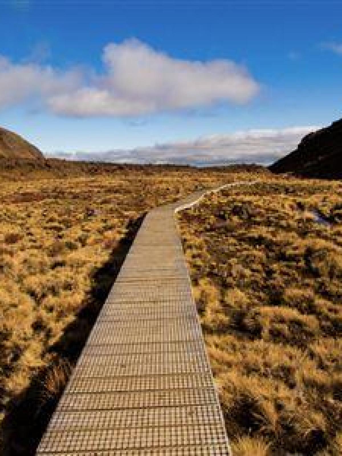 a large mountain in the background
